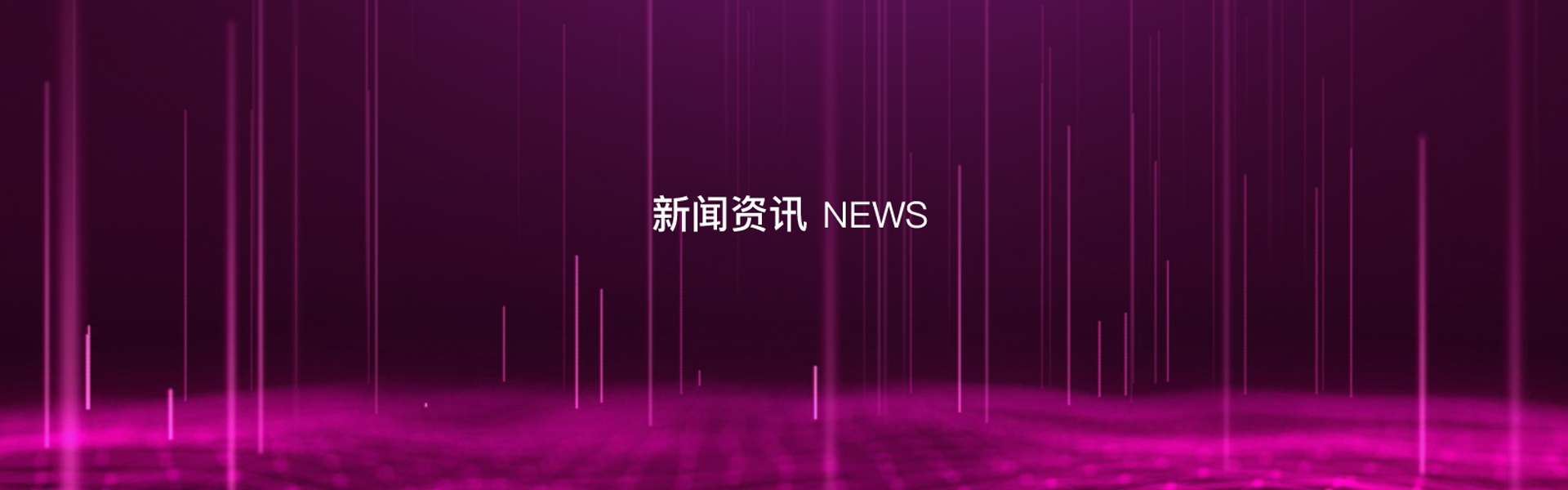 新闻动态